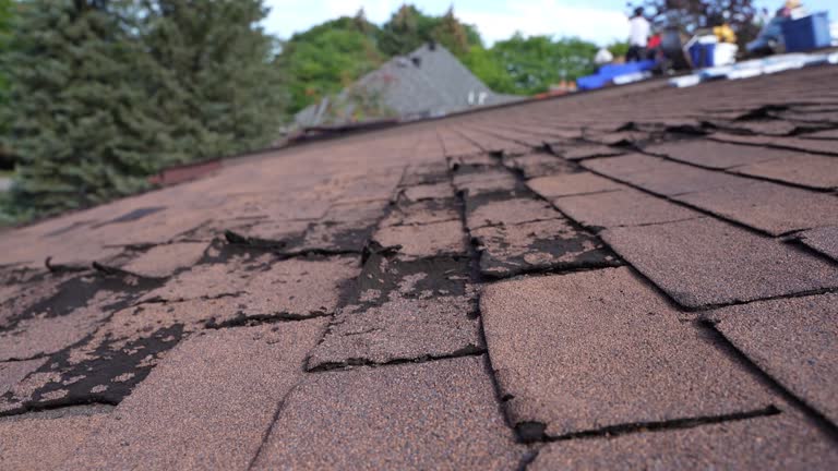 Best Roof Leak Repair  in Georgetown, OH